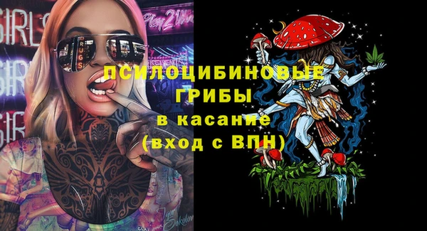 прущая мука Богородицк