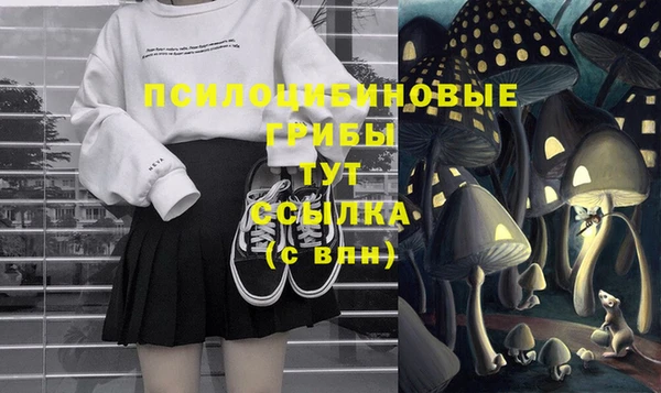 соль ск Волосово