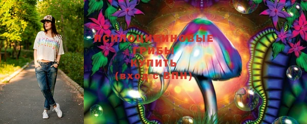 прущая мука Богородицк